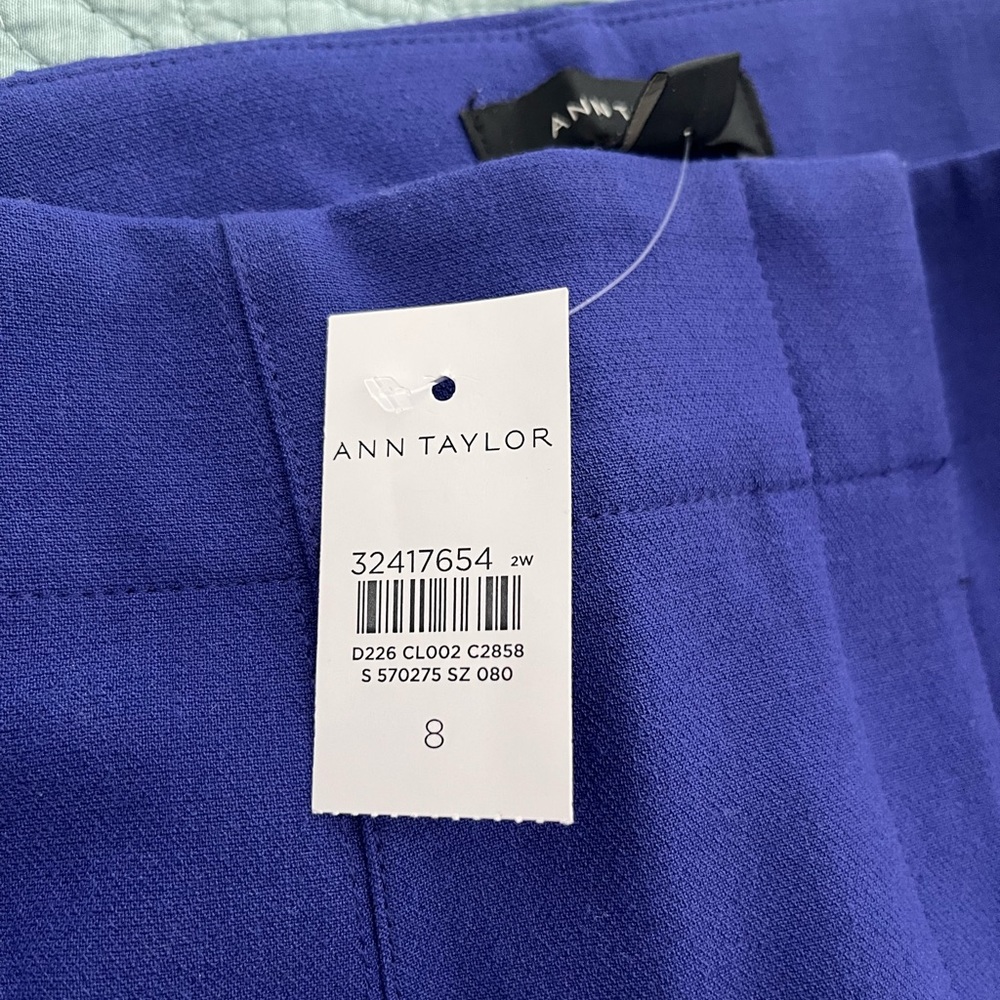 Beautiful Ann Taylor purple Trousers